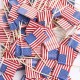 Scobitori cu Stegulet America -500buc-
