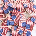 Set 500 de scobitori cu Stegulet America/SUA