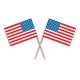 Scobitori cu Stegulet America -500buc-