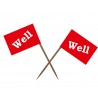 Set 25 de stegulete pentru friptura "Well"