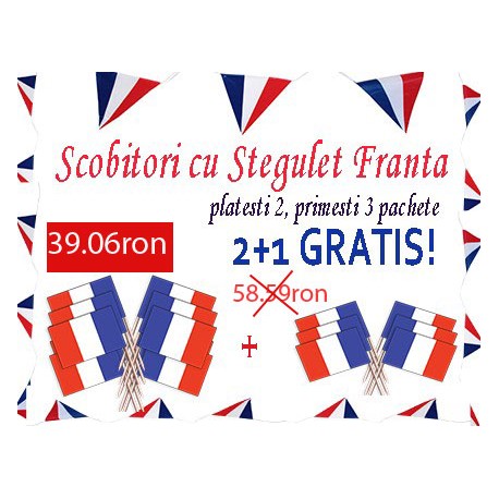 Oferta Scobitori cu Stegulet Franta 2+1 Gratis