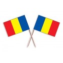 Scobitoare Stegutet Romania