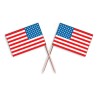 Set 30 scobitori cu stegulet America/SUA