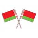 Set 30 scobitori cu Stegulet Belarus
