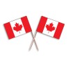 Set 30 scobitori cu Stegulet Canada