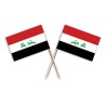Set 30 scobitori cu Stegulet Irak